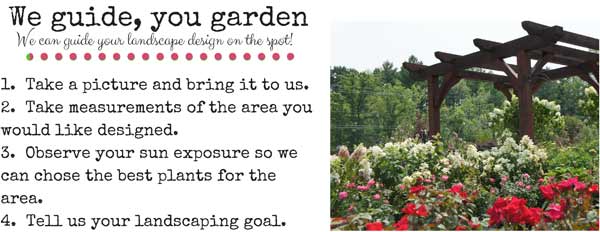 We guide, you garden